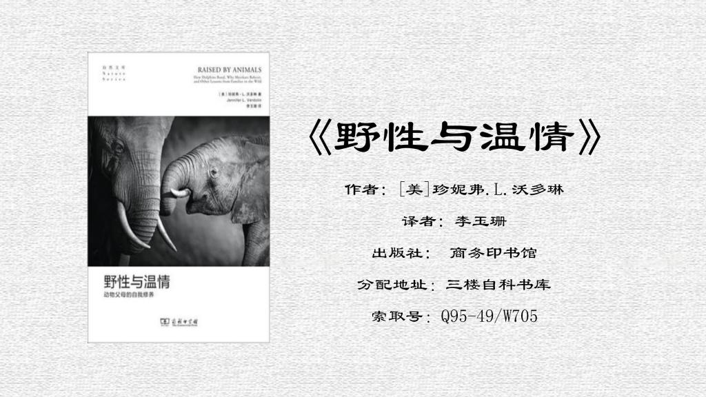 beat365体育官网平台