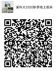 2020091002.png